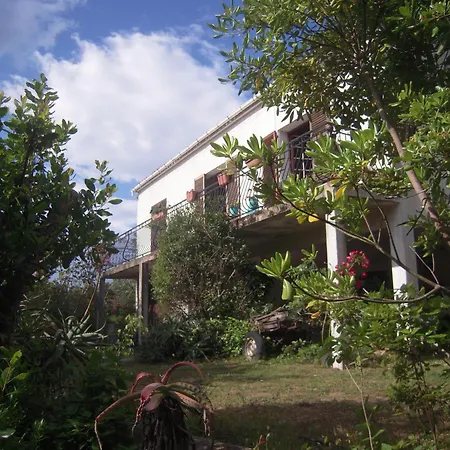 Casa Di Signare Apartment Ventiseri Exterior photo